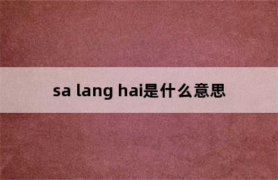 sa lang hai是什么意思